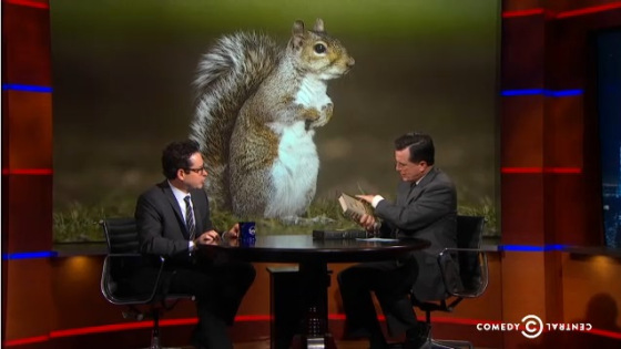 JJ Abrams Squirrel